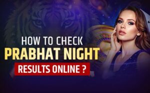 Easy Guide: How to Check Prabhat Night Results Online