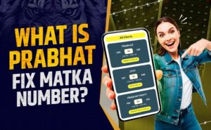What is Prabhat Fix Matka Number? Explained Simply